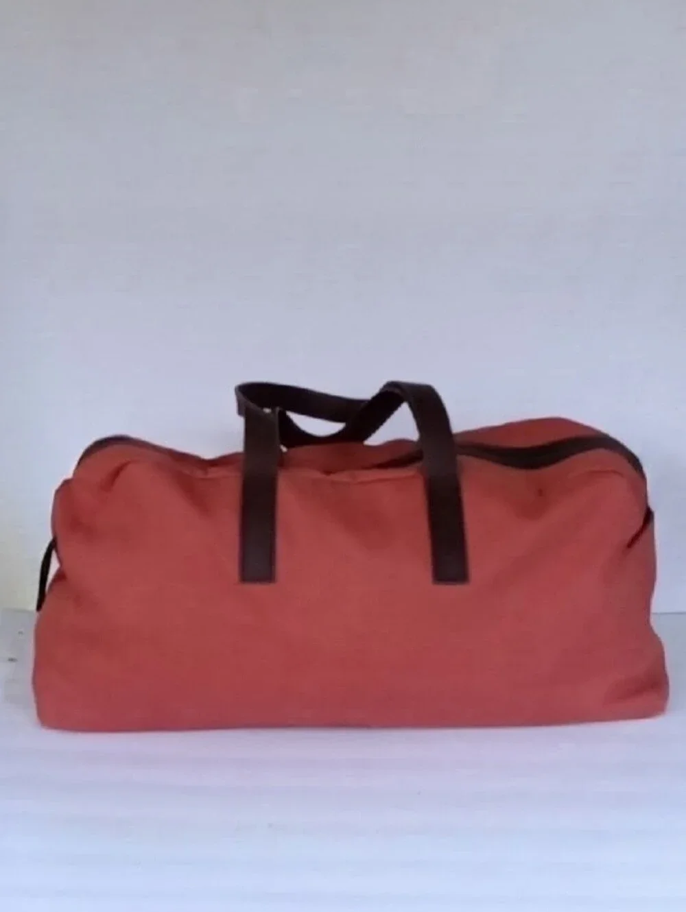 Everlane roomy bag